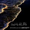 user8831402581209
