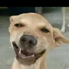 botngocacbo09