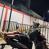 exzzycoll