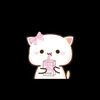 abeer.star3