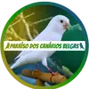 Paraíso dos Canários Belgas