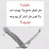 user7609873666091