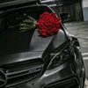 _mardanovv_777