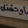 q.zlpp