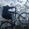 carsbikes07