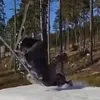 njthegdawg