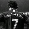 shefe_82