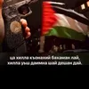mohmad_0_077