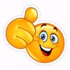 shwesamc3