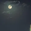 a.n0006