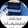 habibissa53