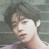 trinhqusnpi