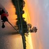 hudson_bahler1