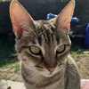 ailinmcgonagall