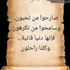 user5006721600774