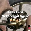 tigerpelanz