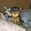 guts_szwf