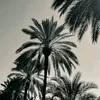 aby7118