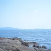buonnguvocungtanhaizzz
