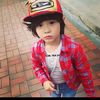 pich.0001