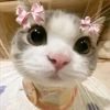 kamila_flowe