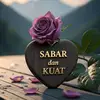 saloma.omar.salom