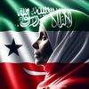 najah.saleeban.na