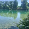 kam_21220