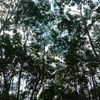 athira_84