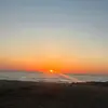 defonotpoppy67