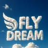 Fly Dream