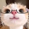 raisa_caa11