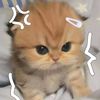 linzzchan0