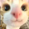vibe_wakacji13