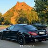 mercedes_fani1