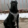b_petrov0