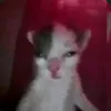 .nef0rmalchik