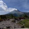 farrel_0205
