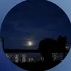 brun_20_