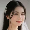 laoanh14
