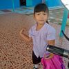 ddbbm68
