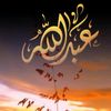 user61070936654796