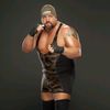 bigshow4263