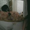 soffqx.1