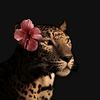 ina_ahmed75