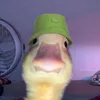 popolipap