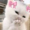 its.naomi93