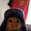 chuj_wam_wdupe