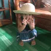 lil_rab11