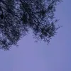 iluviviiiii